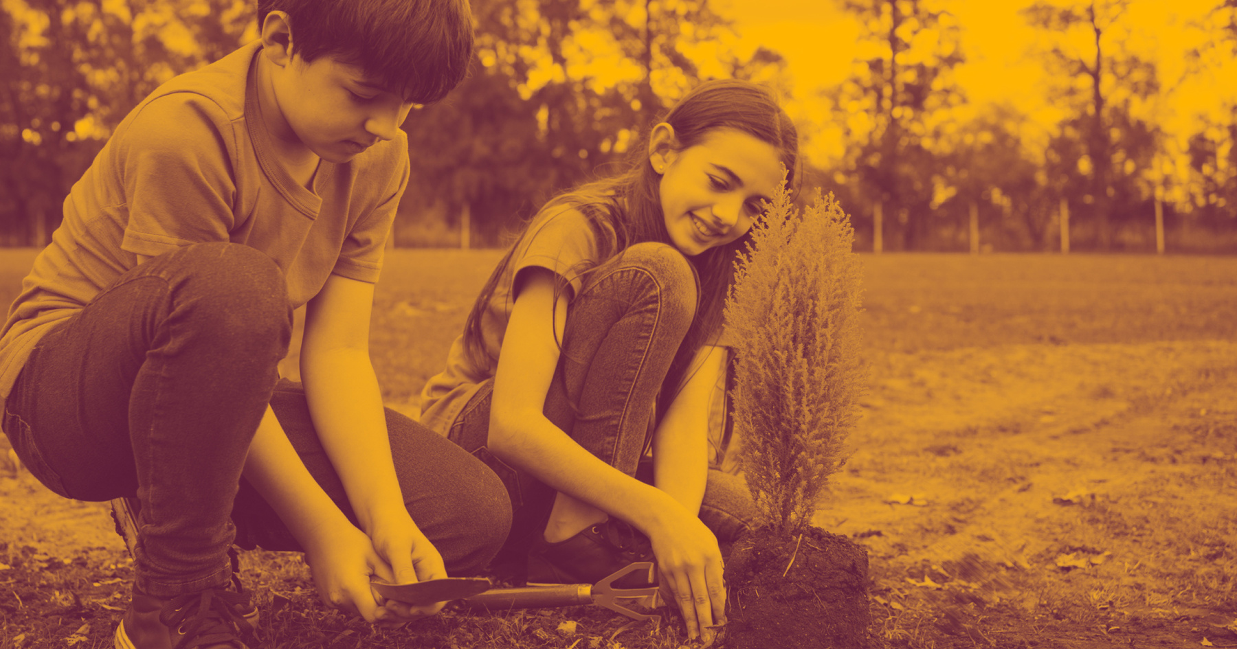 Couple planting a tree