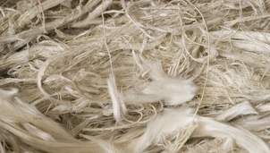 Asbestos fibres